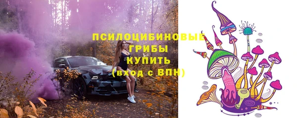 СК Вяземский