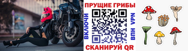 Псилоцибиновые грибы GOLDEN TEACHER Михайловка