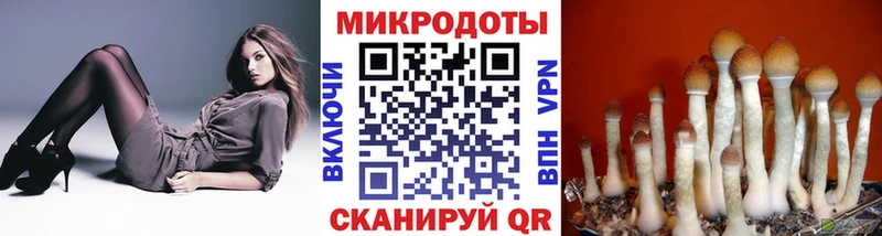 MEGA онион  Михайловка  Галлюциногенные грибы Psilocybine cubensis 
